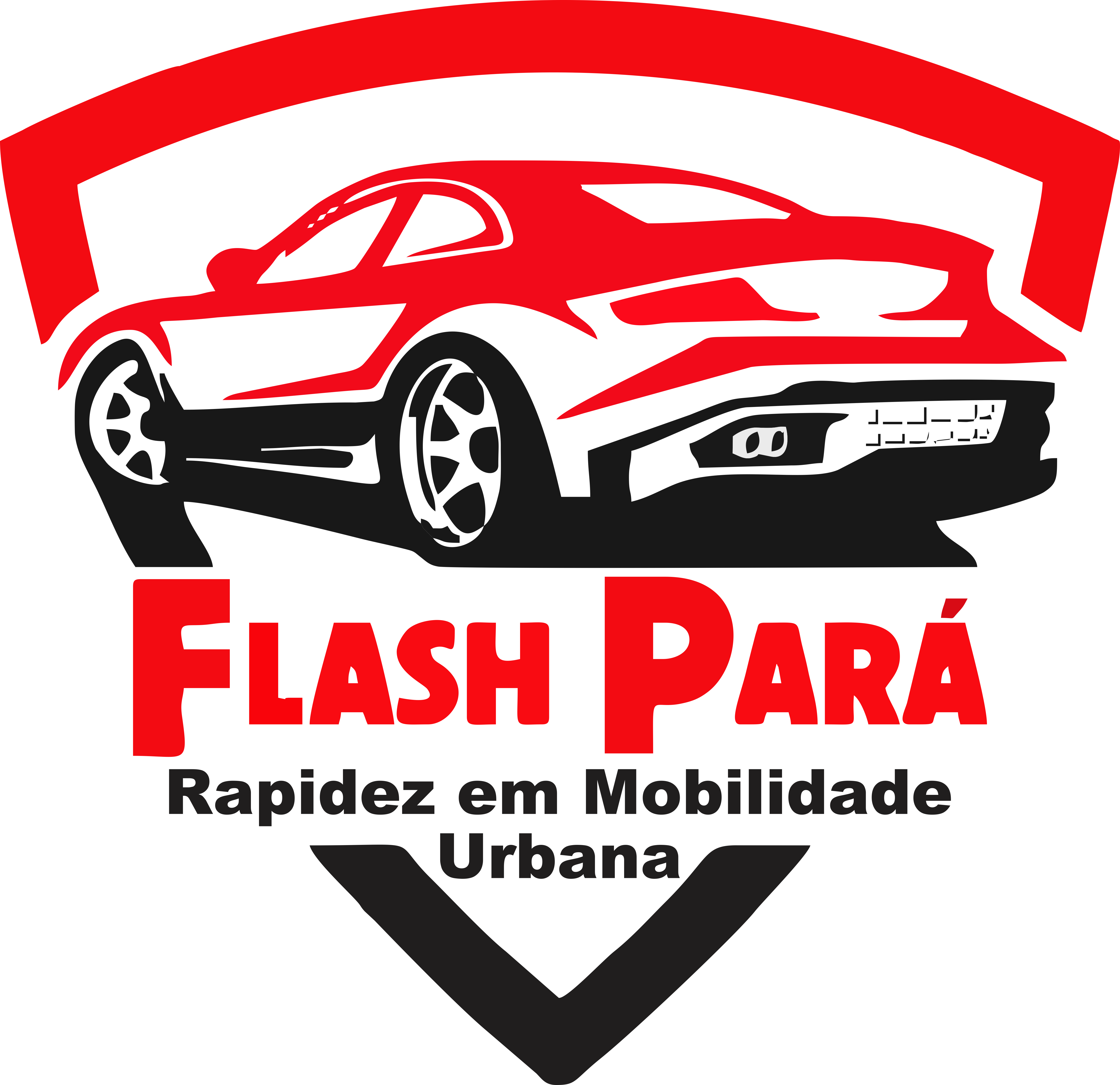 Logomarca Flash Pará